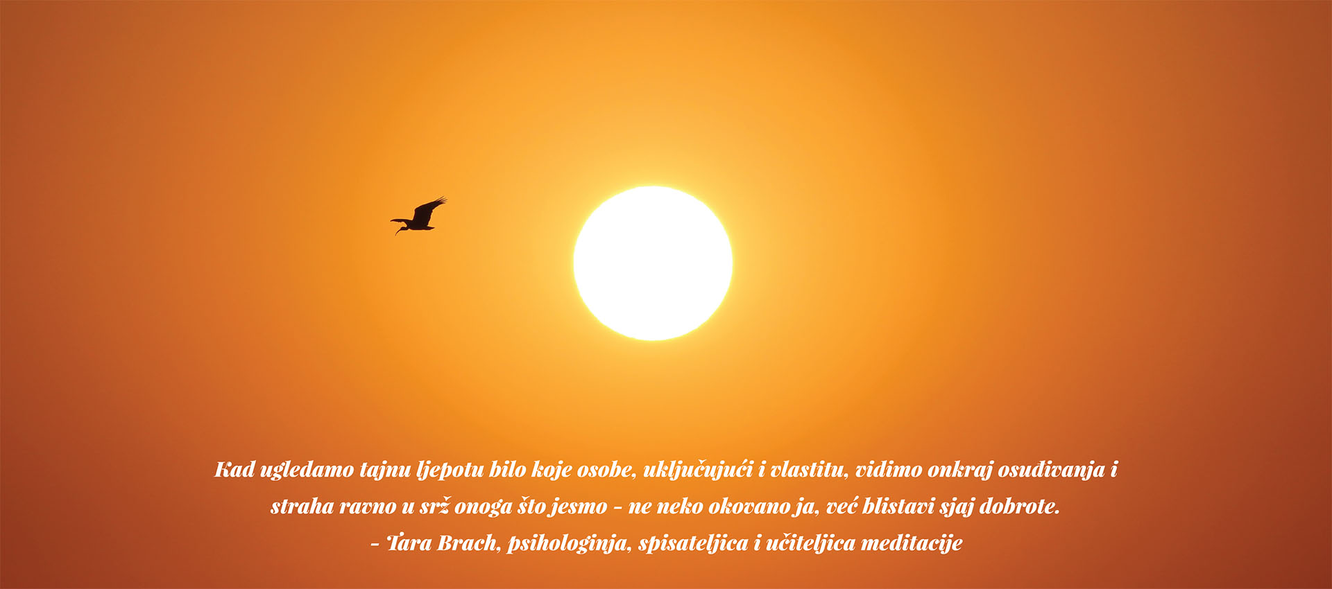 Centar Restart