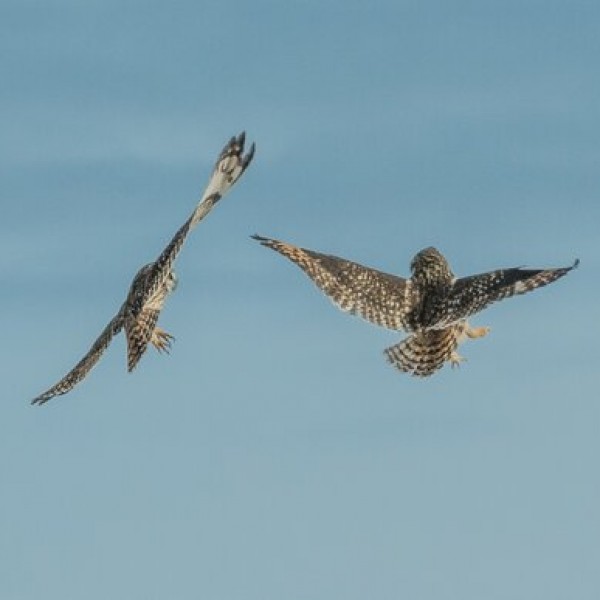 IsTREsi OSJEĆAJ TEŽINE